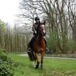 Ik heb het er heel erg naar mijn zin gehad. Alles is goed geregeld, nette kamers, leuke begeleiding, goede lessen en leuke paarden! Ook al had ik geen eigen paard, heb er veel geleerd. Kortom een ontzettend leuke, gezellige en leerzame week! Ik ga volgend jaar zeker weer!!
